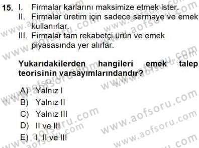 Çalışma Ekonomisi 1 Dersi Ara Sınavı Deneme Sınav Soruları 15. Soru