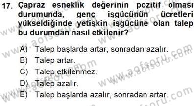 Çalışma Ekonomisi 1 Dersi Ara Sınavı Deneme Sınav Soruları 17. Soru