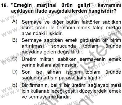 Çalışma Ekonomisi 1 Dersi Ara Sınavı Deneme Sınav Soruları 18. Soru
