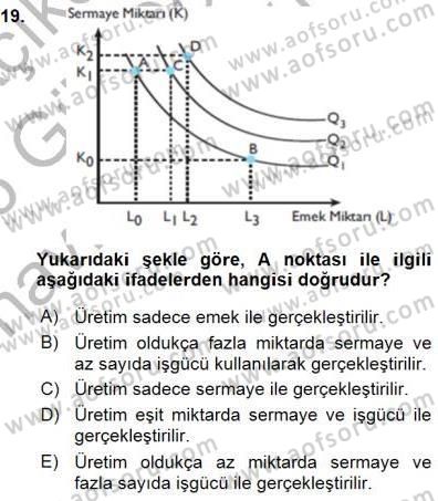 Çalışma Ekonomisi 1 Dersi Ara Sınavı Deneme Sınav Soruları 19. Soru