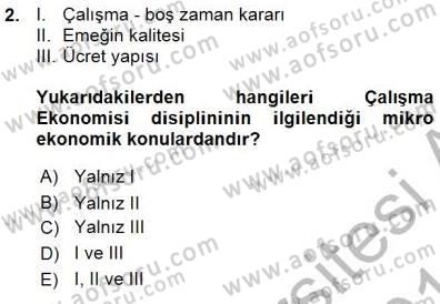 Çalışma Ekonomisi 1 Dersi Ara Sınavı Deneme Sınav Soruları 2. Soru