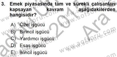 Çalışma Ekonomisi 1 Dersi 2015 - 2016 Yılı (Vize) Ara Sınav Soruları 3. Soru