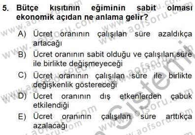 Çalışma Ekonomisi 1 Dersi Ara Sınavı Deneme Sınav Soruları 5. Soru