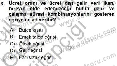 Çalışma Ekonomisi 1 Dersi Ara Sınavı Deneme Sınav Soruları 6. Soru