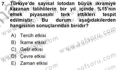 Çalışma Ekonomisi 1 Dersi Ara Sınavı Deneme Sınav Soruları 7. Soru