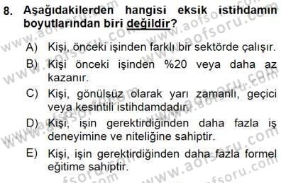 Çalışma Ekonomisi 1 Dersi Ara Sınavı Deneme Sınav Soruları 8. Soru