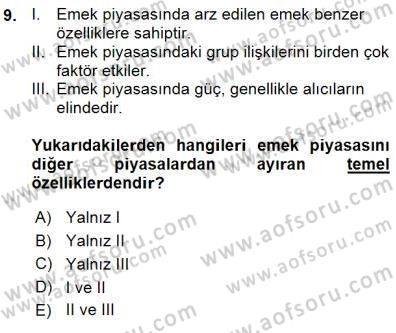 Çalışma Ekonomisi 1 Dersi Ara Sınavı Deneme Sınav Soruları 9. Soru