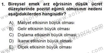 Çalışma Ekonomisi 1 Dersi 2015 - 2016 Yılı (Final) Dönem Sonu Sınav Soruları 1. Soru