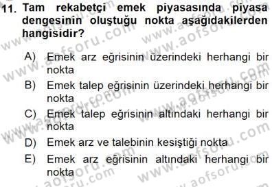 Çalışma Ekonomisi 1 Dersi 2015 - 2016 Yılı (Final) Dönem Sonu Sınav Soruları 11. Soru