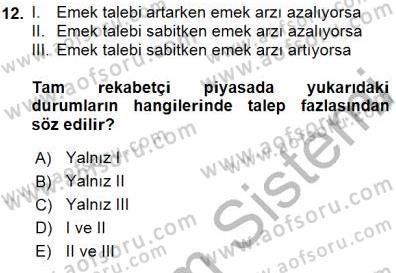 Çalışma Ekonomisi 1 Dersi 2015 - 2016 Yılı (Final) Dönem Sonu Sınav Soruları 12. Soru