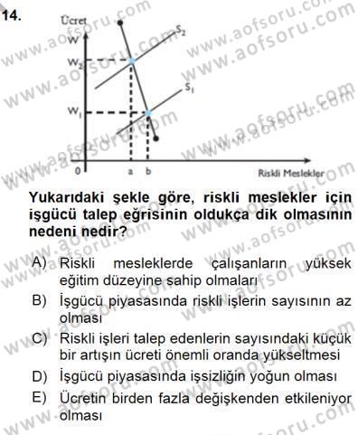 Çalışma Ekonomisi 1 Dersi 2015 - 2016 Yılı (Final) Dönem Sonu Sınav Soruları 14. Soru