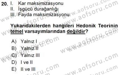 Çalışma Ekonomisi 1 Dersi 2015 - 2016 Yılı (Final) Dönem Sonu Sınav Soruları 20. Soru