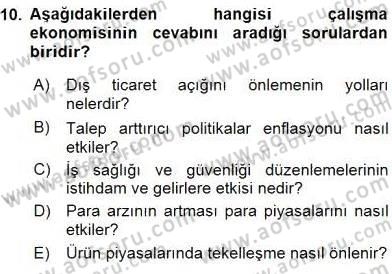 Çalışma Ekonomisi 1 Dersi 2016 - 2017 Yılı (Vize) Ara Sınav Soruları 10. Soru