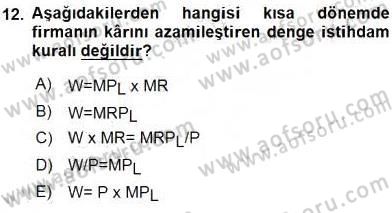 Çalışma Ekonomisi 1 Dersi 2016 - 2017 Yılı (Vize) Ara Sınav Soruları 12. Soru