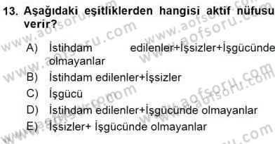 Çalışma Ekonomisi 1 Dersi 2016 - 2017 Yılı (Vize) Ara Sınav Soruları 13. Soru