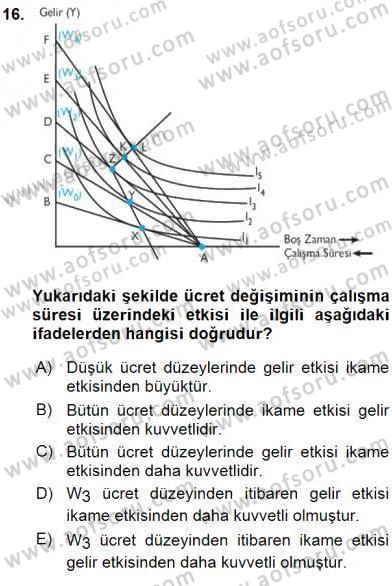 Çalışma Ekonomisi 1 Dersi 2016 - 2017 Yılı (Vize) Ara Sınav Soruları 16. Soru