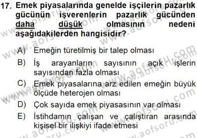 Çalışma Ekonomisi 1 Dersi 2016 - 2017 Yılı (Vize) Ara Sınav Soruları 17. Soru