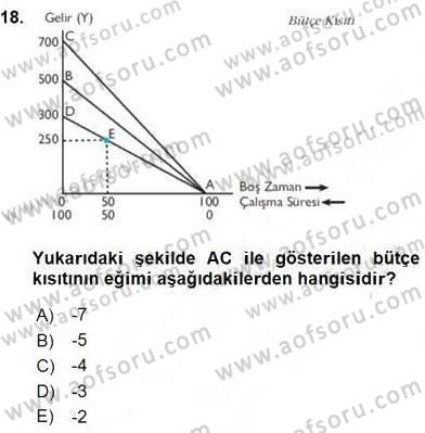 Çalışma Ekonomisi 1 Dersi 2016 - 2017 Yılı (Vize) Ara Sınav Soruları 18. Soru