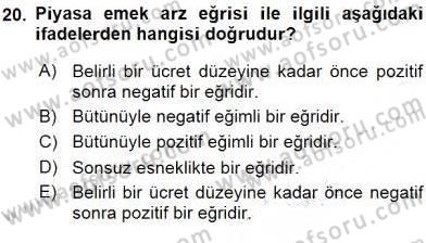 Çalışma Ekonomisi 1 Dersi 2016 - 2017 Yılı (Vize) Ara Sınav Soruları 20. Soru