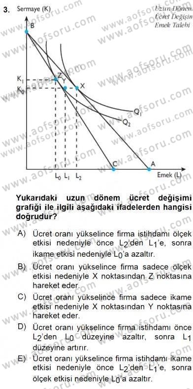 Çalışma Ekonomisi 1 Dersi 2016 - 2017 Yılı (Vize) Ara Sınav Soruları 3. Soru