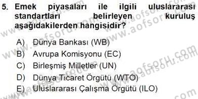 Çalışma Ekonomisi 1 Dersi 2016 - 2017 Yılı (Vize) Ara Sınav Soruları 5. Soru