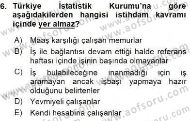 Çalışma Ekonomisi 1 Dersi 2016 - 2017 Yılı (Vize) Ara Sınav Soruları 6. Soru
