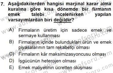 Çalışma Ekonomisi 1 Dersi 2016 - 2017 Yılı (Vize) Ara Sınav Soruları 7. Soru