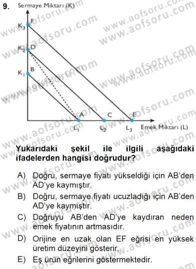 Çalışma Ekonomisi 1 Dersi 2016 - 2017 Yılı (Vize) Ara Sınav Soruları 9. Soru