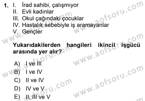 Çalışma Ekonomisi 1 Dersi 2020 - 2021 Yılı Yaz Okulu Sınav Soruları 1. Soru
