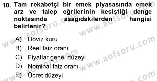 Çalışma Ekonomisi 1 Dersi 2020 - 2021 Yılı Yaz Okulu Sınav Soruları 10. Soru