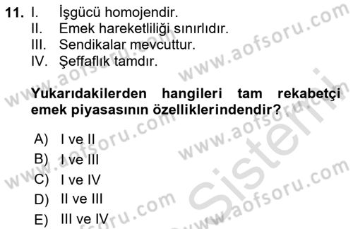 Çalışma Ekonomisi 1 Dersi 2020 - 2021 Yılı Yaz Okulu Sınav Soruları 11. Soru