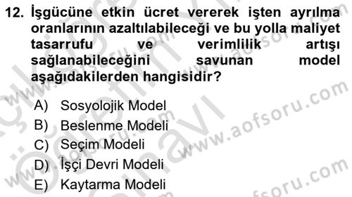 Çalışma Ekonomisi 1 Dersi 2020 - 2021 Yılı Yaz Okulu Sınav Soruları 12. Soru