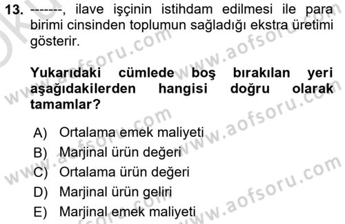 Çalışma Ekonomisi 1 Dersi 2020 - 2021 Yılı Yaz Okulu Sınav Soruları 13. Soru