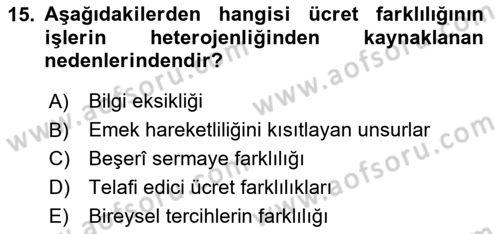 Çalışma Ekonomisi 1 Dersi 2020 - 2021 Yılı Yaz Okulu Sınav Soruları 15. Soru