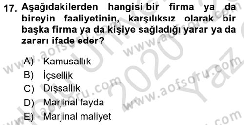 Çalışma Ekonomisi 1 Dersi 2020 - 2021 Yılı Yaz Okulu Sınav Soruları 17. Soru