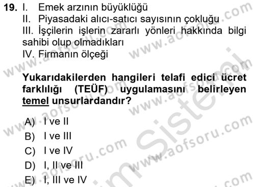 Çalışma Ekonomisi 1 Dersi 2020 - 2021 Yılı Yaz Okulu Sınav Soruları 19. Soru