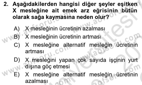 Çalışma Ekonomisi 1 Dersi 2020 - 2021 Yılı Yaz Okulu Sınav Soruları 2. Soru