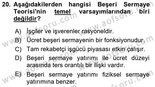 Çalışma Ekonomisi 1 Dersi 2020 - 2021 Yılı Yaz Okulu Sınav Soruları 20. Soru