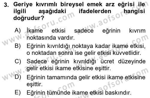 Çalışma Ekonomisi 1 Dersi 2020 - 2021 Yılı Yaz Okulu Sınav Soruları 3. Soru