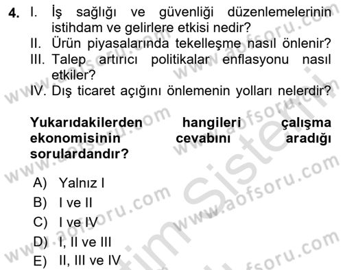 Çalışma Ekonomisi 1 Dersi 2020 - 2021 Yılı Yaz Okulu Sınav Soruları 4. Soru