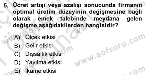 Çalışma Ekonomisi 1 Dersi 2020 - 2021 Yılı Yaz Okulu Sınav Soruları 5. Soru