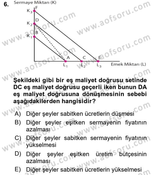 Çalışma Ekonomisi 1 Dersi 2020 - 2021 Yılı Yaz Okulu Sınav Soruları 6. Soru