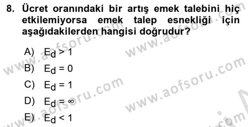 Çalışma Ekonomisi 1 Dersi 2020 - 2021 Yılı Yaz Okulu Sınav Soruları 8. Soru