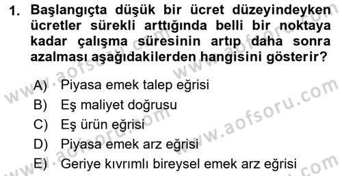 Çalışma Ekonomisi 1 Dersi 2021 - 2022 Yılı (Vize) Ara Sınav Soruları 1. Soru