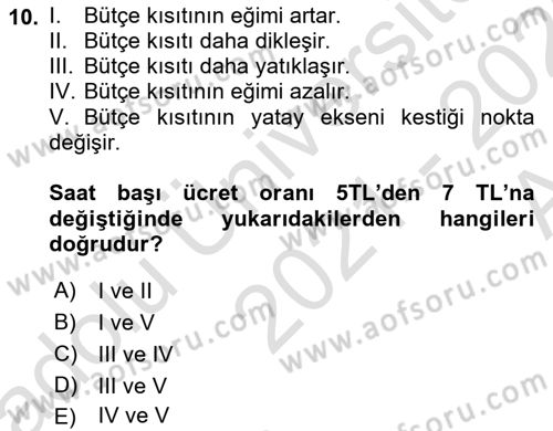 Çalışma Ekonomisi 1 Dersi 2021 - 2022 Yılı (Vize) Ara Sınav Soruları 10. Soru
