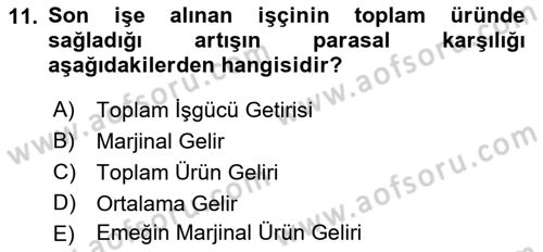 Çalışma Ekonomisi 1 Dersi 2021 - 2022 Yılı (Vize) Ara Sınav Soruları 11. Soru