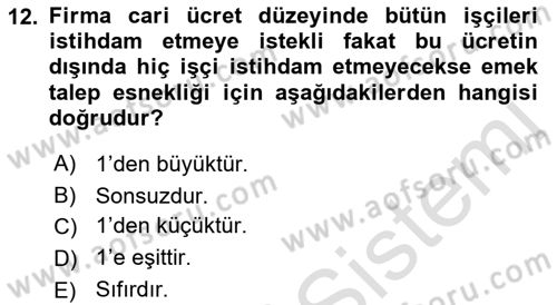 Çalışma Ekonomisi 1 Dersi 2021 - 2022 Yılı (Vize) Ara Sınav Soruları 12. Soru