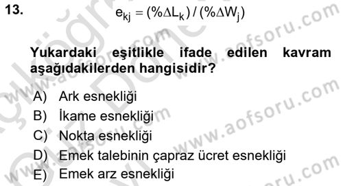 Çalışma Ekonomisi 1 Dersi 2021 - 2022 Yılı (Vize) Ara Sınav Soruları 13. Soru