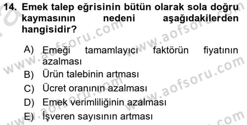 Çalışma Ekonomisi 1 Dersi 2021 - 2022 Yılı (Vize) Ara Sınav Soruları 14. Soru