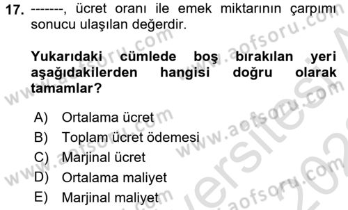 Çalışma Ekonomisi 1 Dersi 2021 - 2022 Yılı (Vize) Ara Sınav Soruları 17. Soru